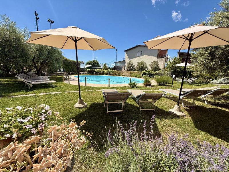 Giardino con ulivi, Hotel Vittoria