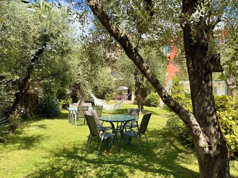 Giardino con ulivi, Hotel Vittoria