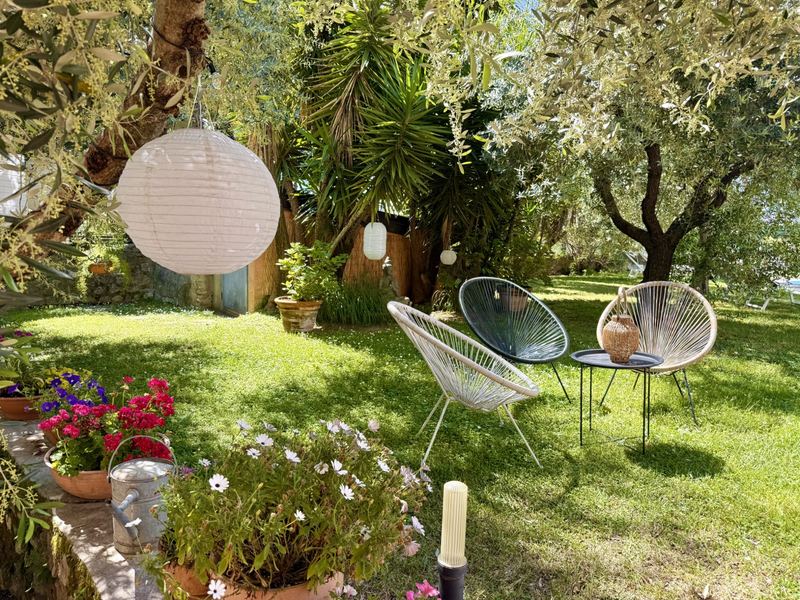 Giardino con ulivi, Hotel Vittoria