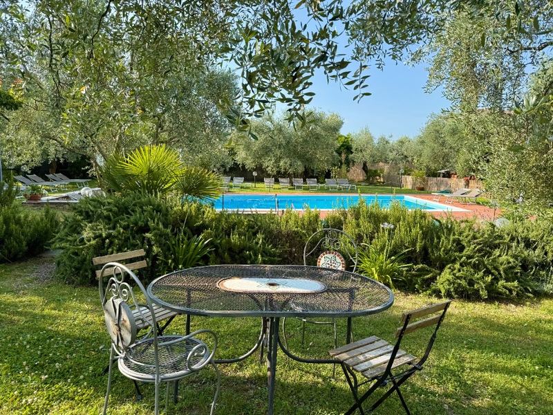 Seconda piscina Hotel Vittoria tra gli ulivi